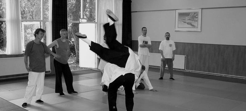 art of effortless power aikido nijmegen