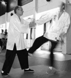 art of effortless power aikido pushing hands nijmegen