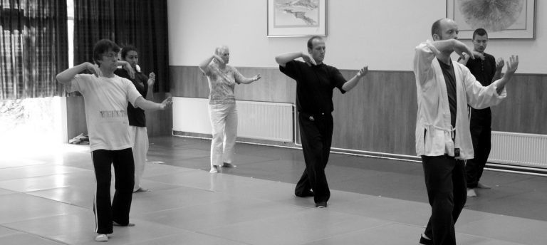 tai chi nijmegen