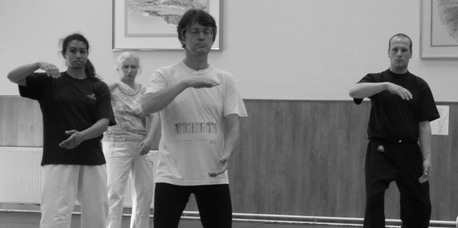 tai chi chuan