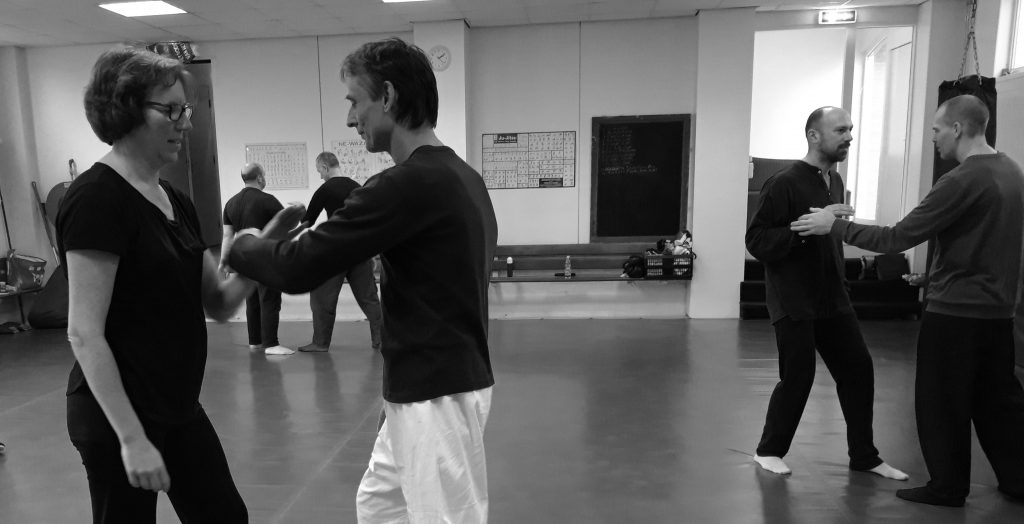 pushing hands aikido art of effortless power