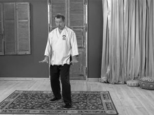 cheng hsin online tai chi chuan boksen zwaardvorm